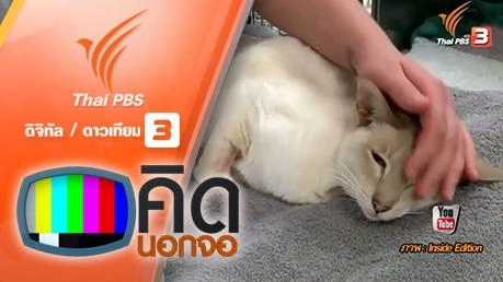 คิดนอกจอ  : แมวดวงแข็งรอดชีวิต หลังติดอยู่ในกล่องพัสดุนานถึง 8 วัน