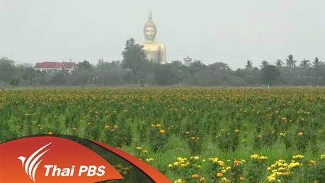 ประเด็นข่าว (1 เม.ย. 59)