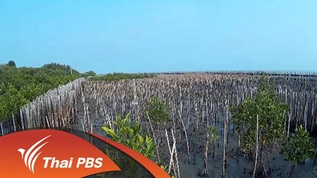 ที่นี่บ้านเรา : รุ่ยใกล้ฝั่ง