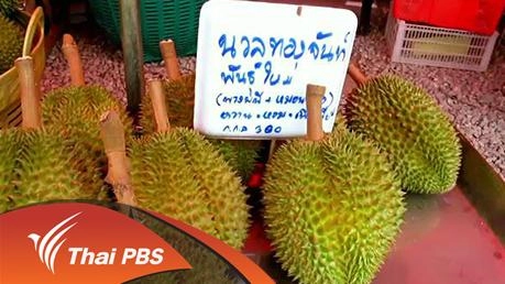 ประเด็นข่าว (31 มี.ค. 59)