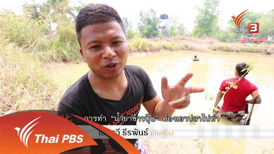 ข้าวปุ้นบุณฑริก