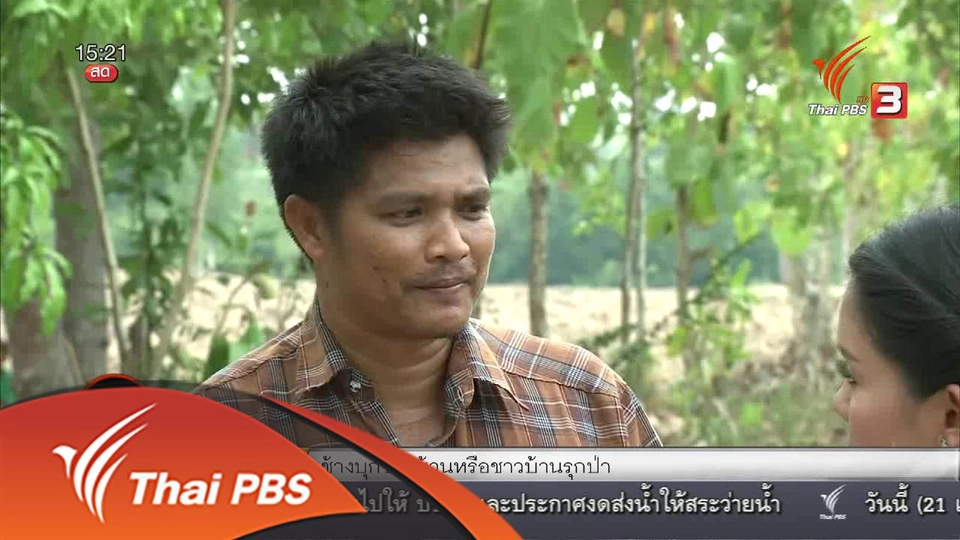 นกอาสาสู้ภัยแล้ง  :  ค่ายนกอาสา จ.ฉะเชิงเทรา ตอนที่ 2