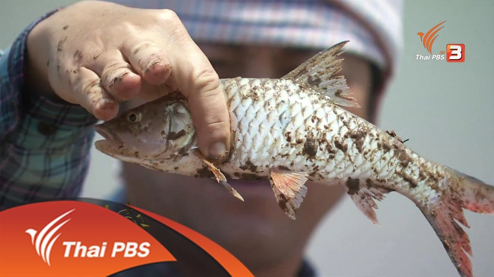 ประเด็นข่าว (25 เม.ย. 59)