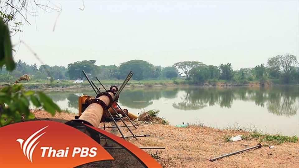 วิกฤตแม่น้ำปิงลดต่ำลงอย่างหนัก