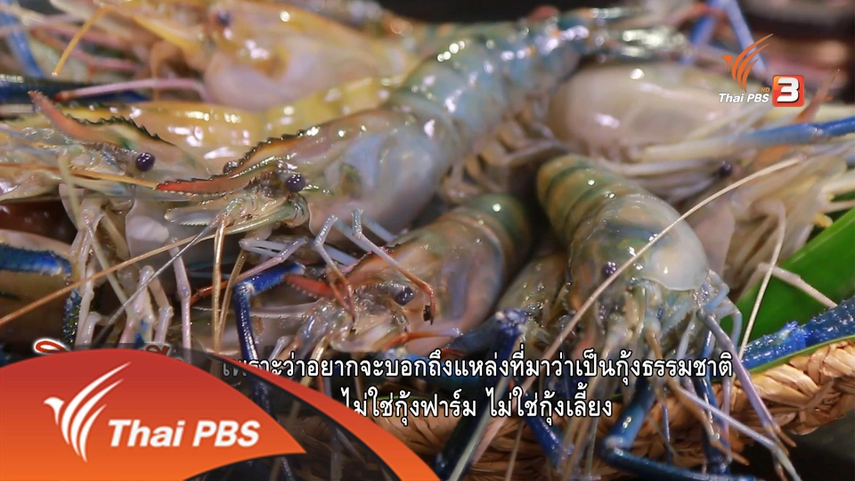 กุ้งก้ามกราม ความอุดมสมบูรณ์แห่งลุ่มน้ำ