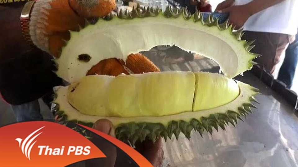 ประเด็นข่าว (4 พ.ค. 59)