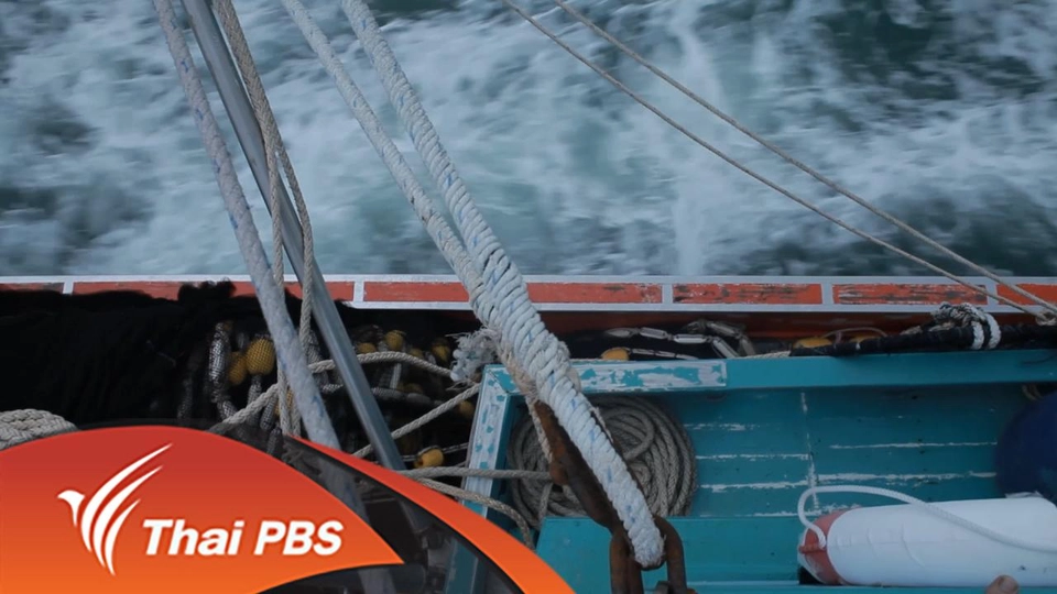 ปลาที่กินไม่ได้