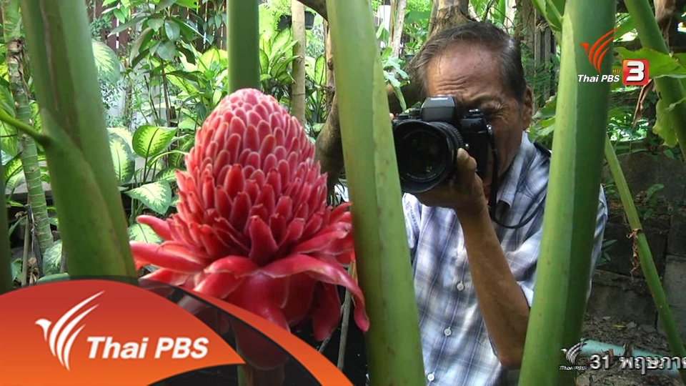 วิถีแห่งเทพ