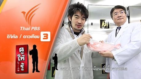 ปลา 5 ปี สดเหมือนเพิ่งขึ้นจากทะเล