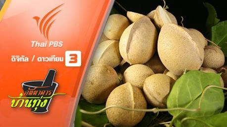 ผักหัวลิง