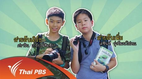 นกขมิ้นท้ายทอยดำ