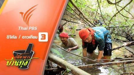 ตอนพิเศษ หอยโล่