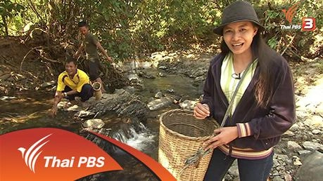 ประเด็นข่าว (1 ก.พ. 59)