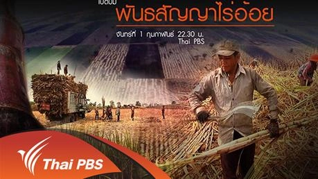 พันธสัญญาอ้อย