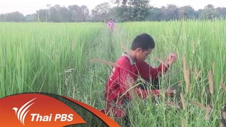 เพชฌฆาตน้ำจืด