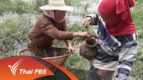 ประเด็นข่าว (2 ก.พ. 59)