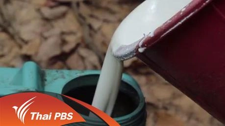 โลกของยาง...ไม่จบ