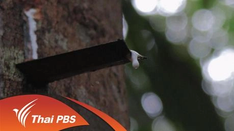 ธรรมชาติ+ชีวิต=ความสมดุล