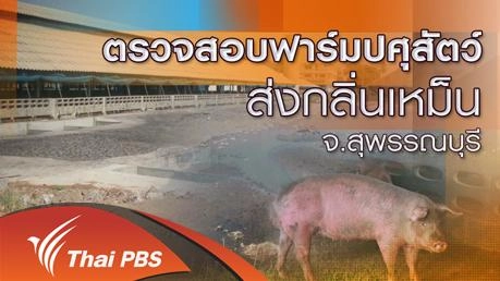 ตรวจสอบฟาร์มปศุสัตว์ส่งกลิ่นเหม็น จ.สุพรรณบุรี