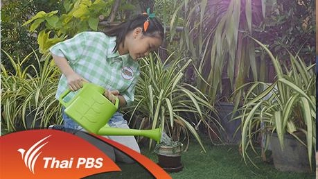 ต้นไม้ดูดน้ำ