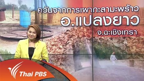 วันจากการเผากะลามะพร้าว อ.แปลงยาว จ.ฉะเชิงเทรา