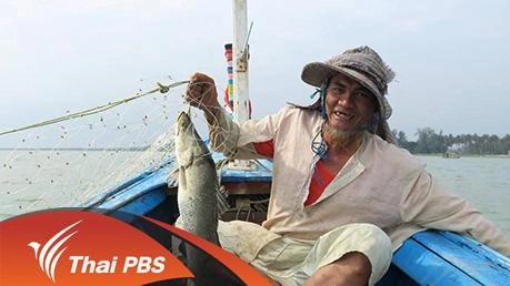 ระยะปากท้อง