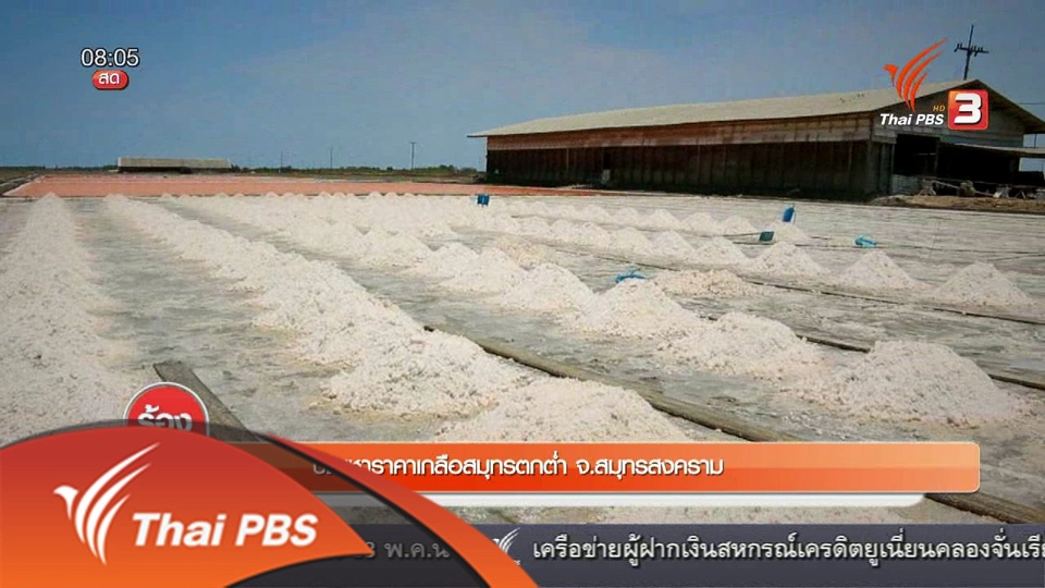 ปัญหาราคาเกลือสมุทรตกต่ำ จ.สมุทรสงคราม