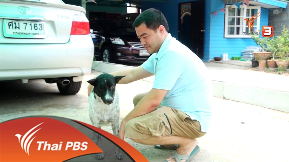 ประเด็นเด่น (14 พ.ค. 59)