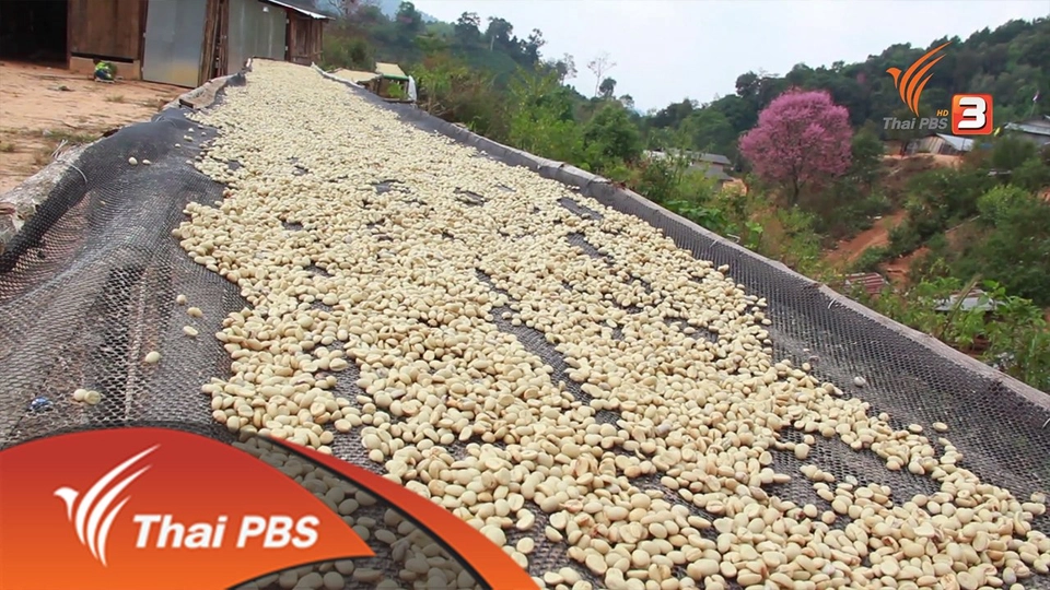 เมืองเหนือเมืองกาแฟ