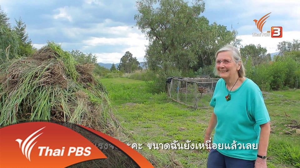 ทำไร่...ไถนา