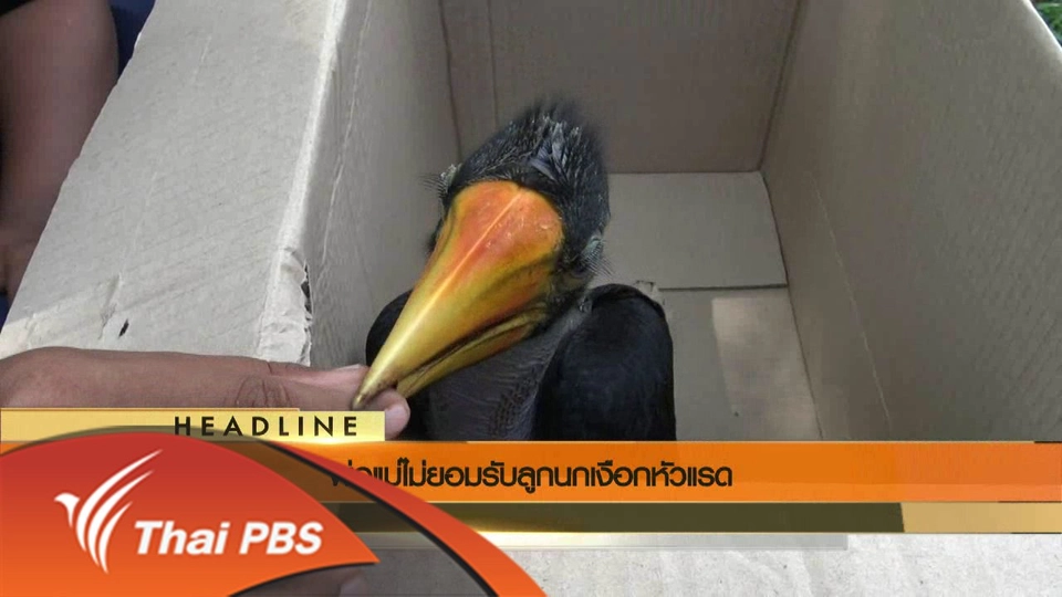 ประเด็นข่าว (19 พ.ค. 59)
