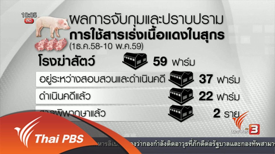 ปราบปรามสารเร่งเนื้อแดงในสุกร