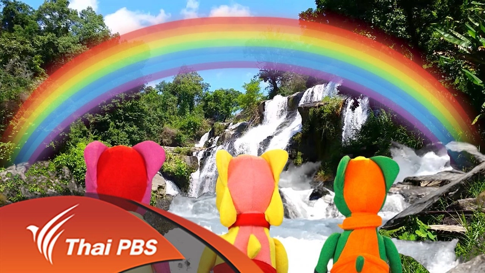 เต่าพากบเที่ยว