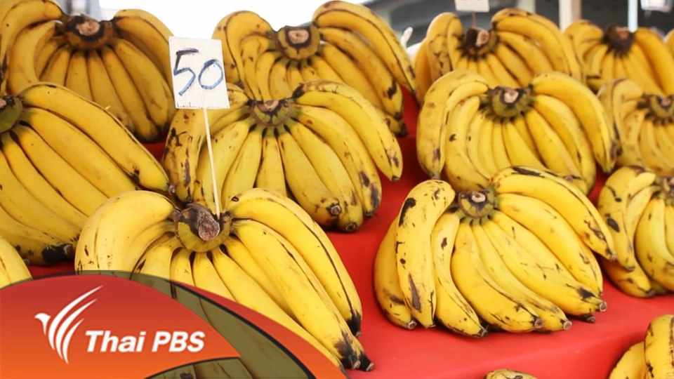 กล้วย(ไม่)กล้วย