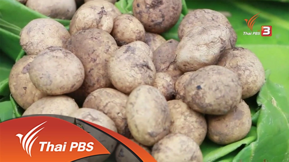 ประเด็นข่าว (23 พ.ค. 59)