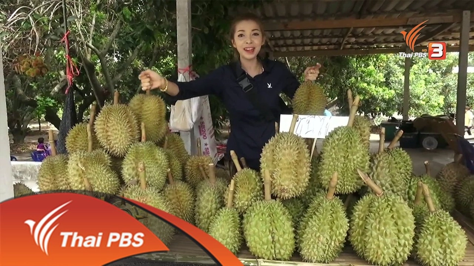 ประเด็นข่าว (26 พ.ค. 59)