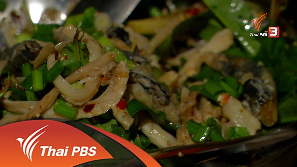 ตะลุยทั่วไทย : ซั่วงู