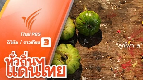 ศิลปะคู่ชีวิต บ้านผาสิงห์ จ.น่าน