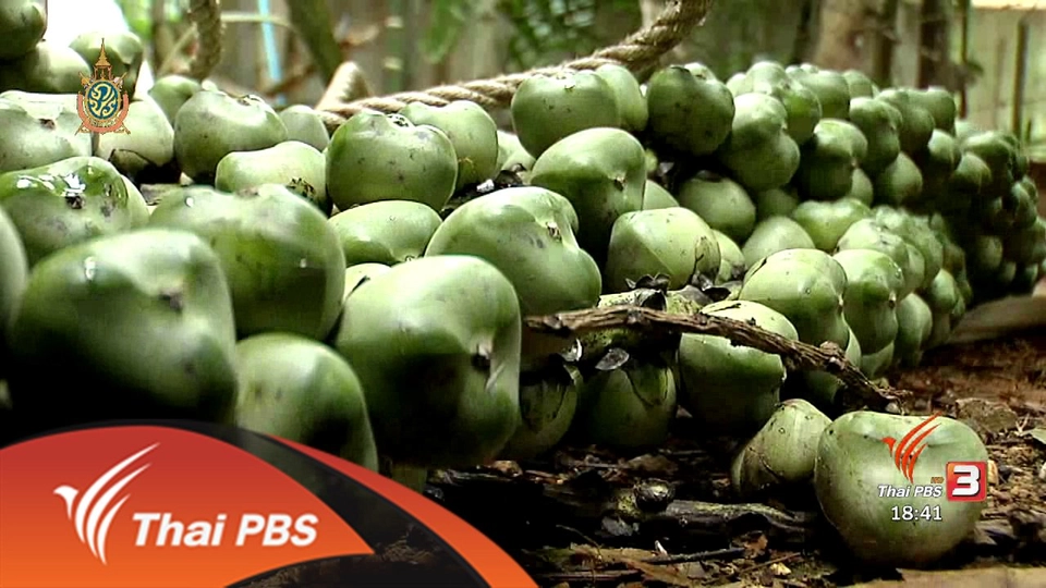 ตะลุยทั่วไทย : 31 พ.ค. 59