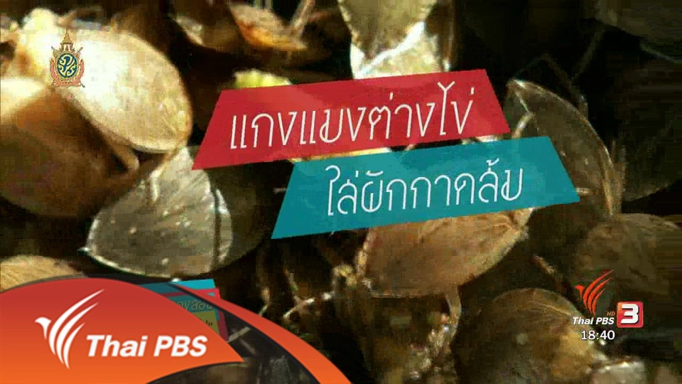 ตะลุยทั่วไทย : 30 พ.ค. 59