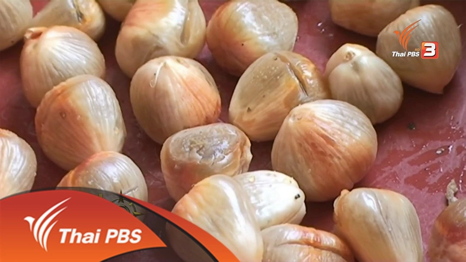 ประเด็นข่าว (1 มิ.ย. 59)