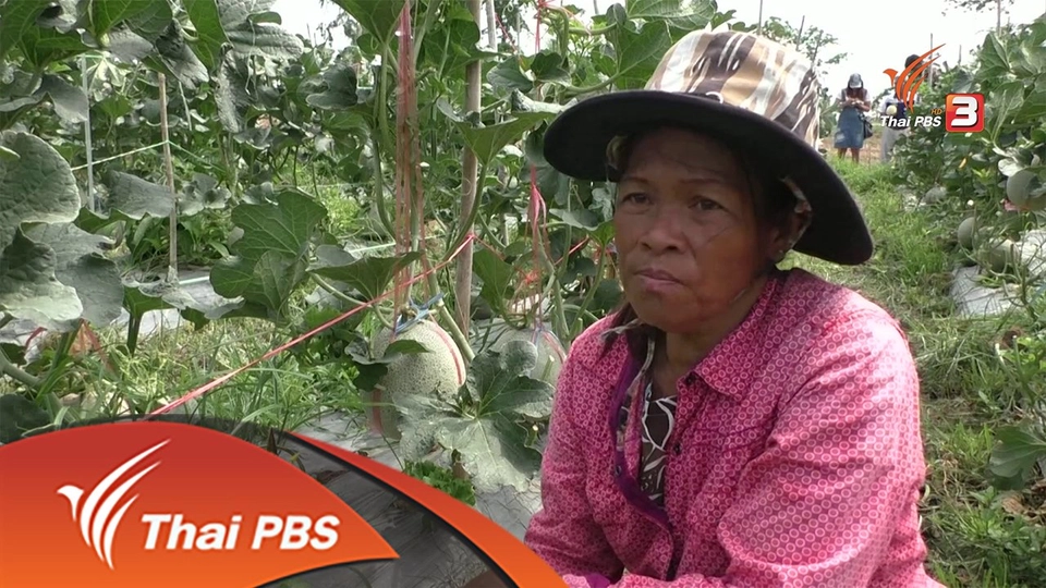 ประเด็นข่าว (3 มิ.ย. 59)