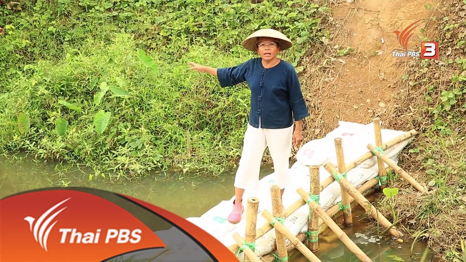 ยุทธการลดสู้แล้ง : ตอนที่ 4 (1/4)