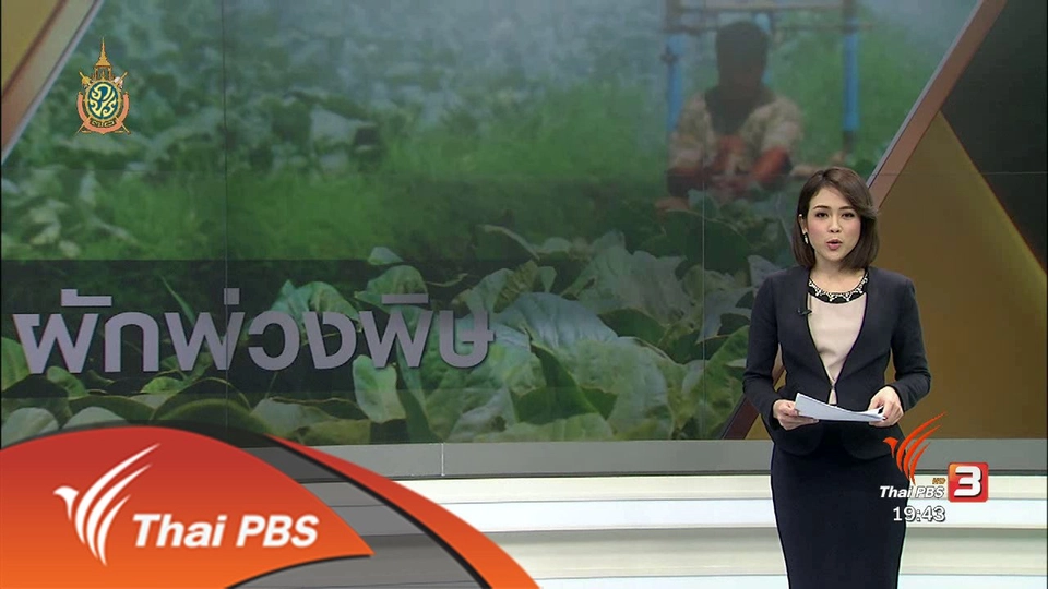 ผักพ่วงพิษ