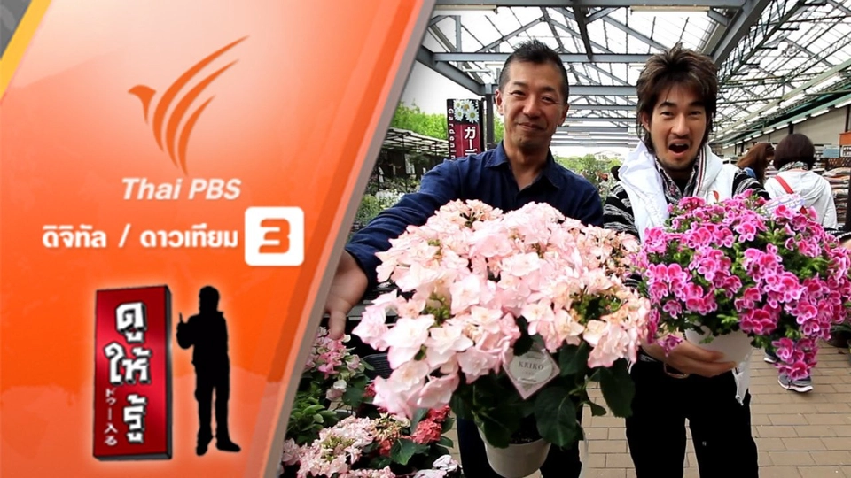 เมืองดอกไม้ หลายแสนพันธุ์