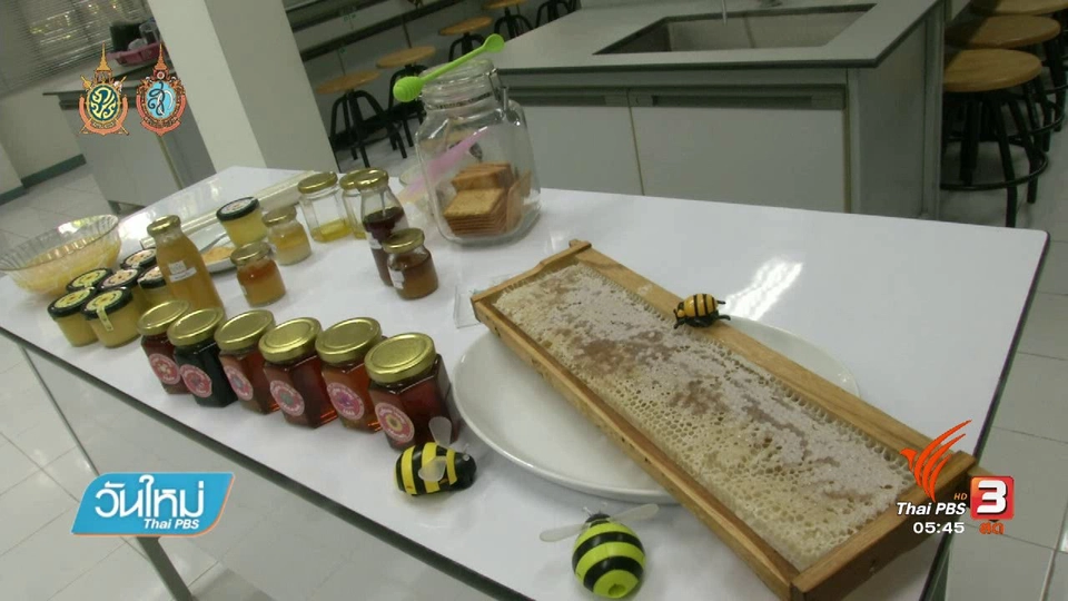 108 สุขภาพ : น้ำผึ้ง ยาอายุวัฒนะจากธรรมชาติ