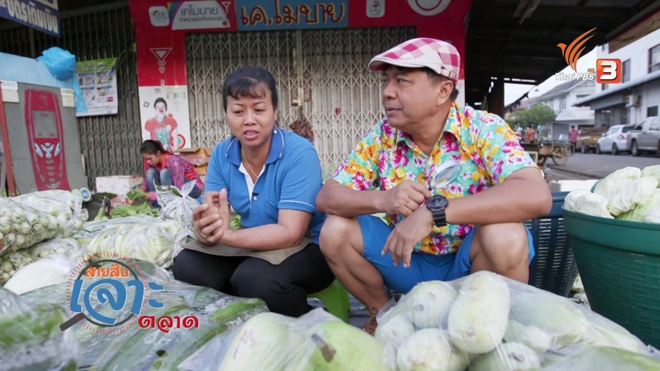 สายสืบเจาะตลาด : สำรวจราคาผัก ตลาดพนมสารคาม จ.ฉะเชิงเทรา