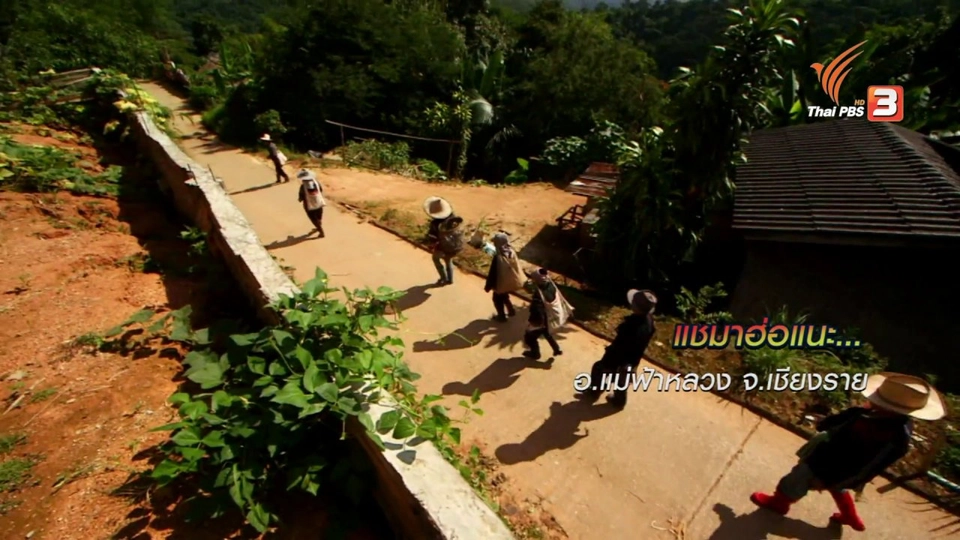 ตะลุยทั่วไทย : แชมาฮ่อแนะ