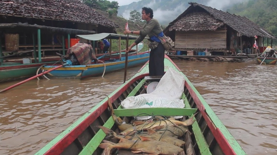 ฝืนธรรมชาติ