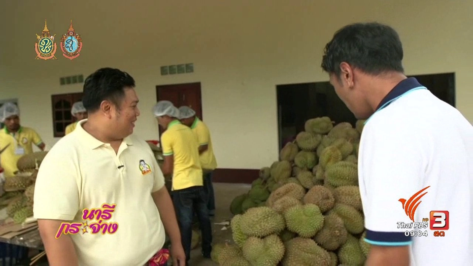 ทุเรียนจัมโบ้ จ.ชุมพร